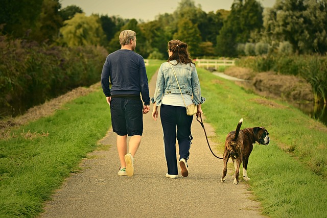 couple-3687274_640