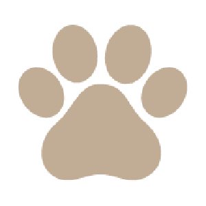 paw1