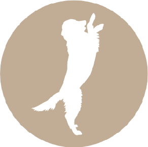 paw_0000_Layer-17