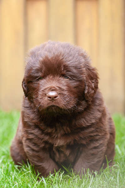 Cooper-23mei-2